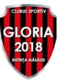 Gloria2018BistritaNasaudW